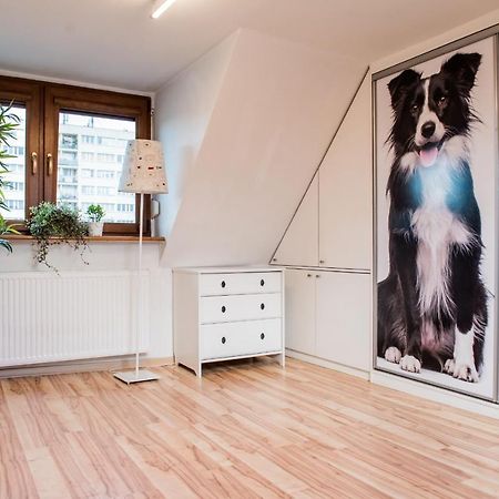 Apartament Lux-Centrum Gliwice Buitenkant foto