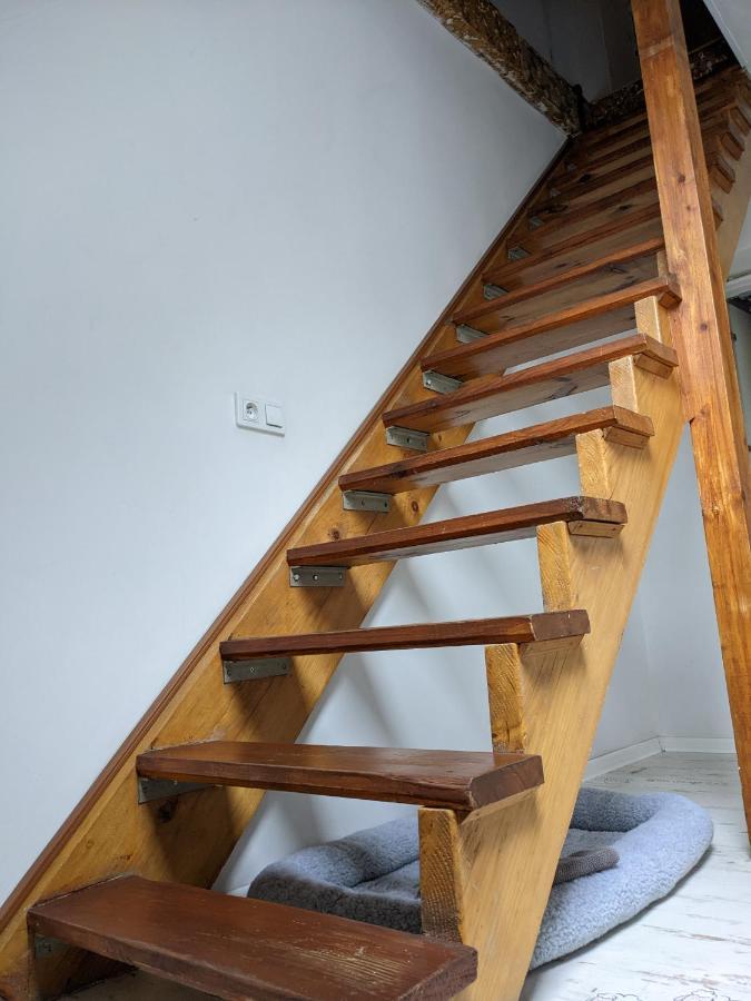 Apartament Lux-Centrum Gliwice Buitenkant foto